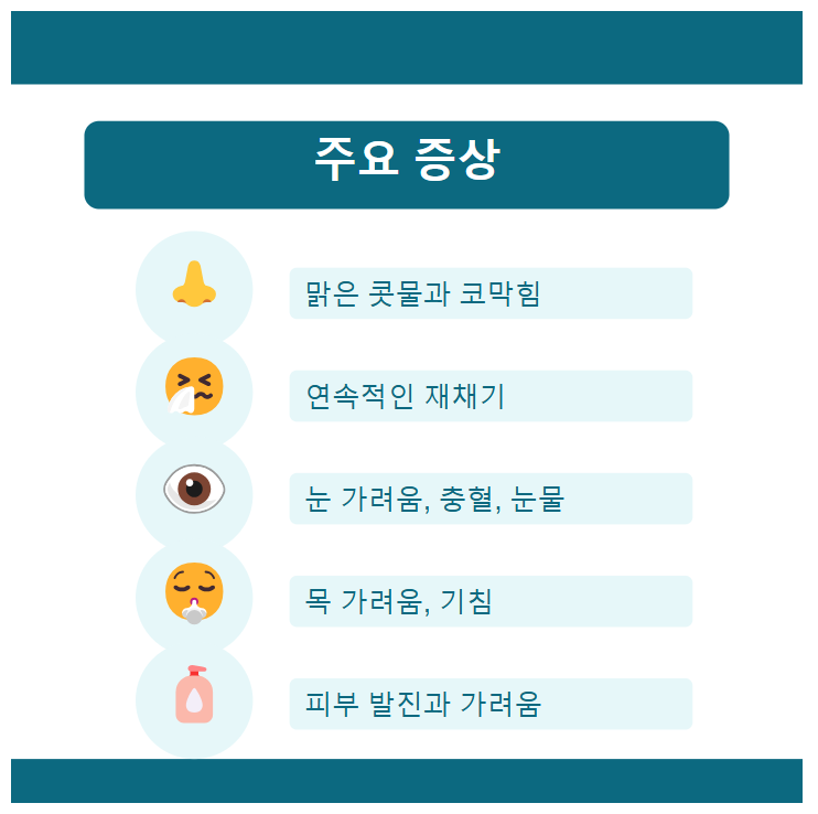맑은 콧물과 재채기, 눈 가려움 등 꽃가루 알레르기 주요 증상을 정리한 이미지