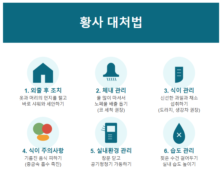 외출 후 조치와 체내 관리, 식이, 실내 환경, 습도 관리 등 황사 대처법을 정리한 이미지